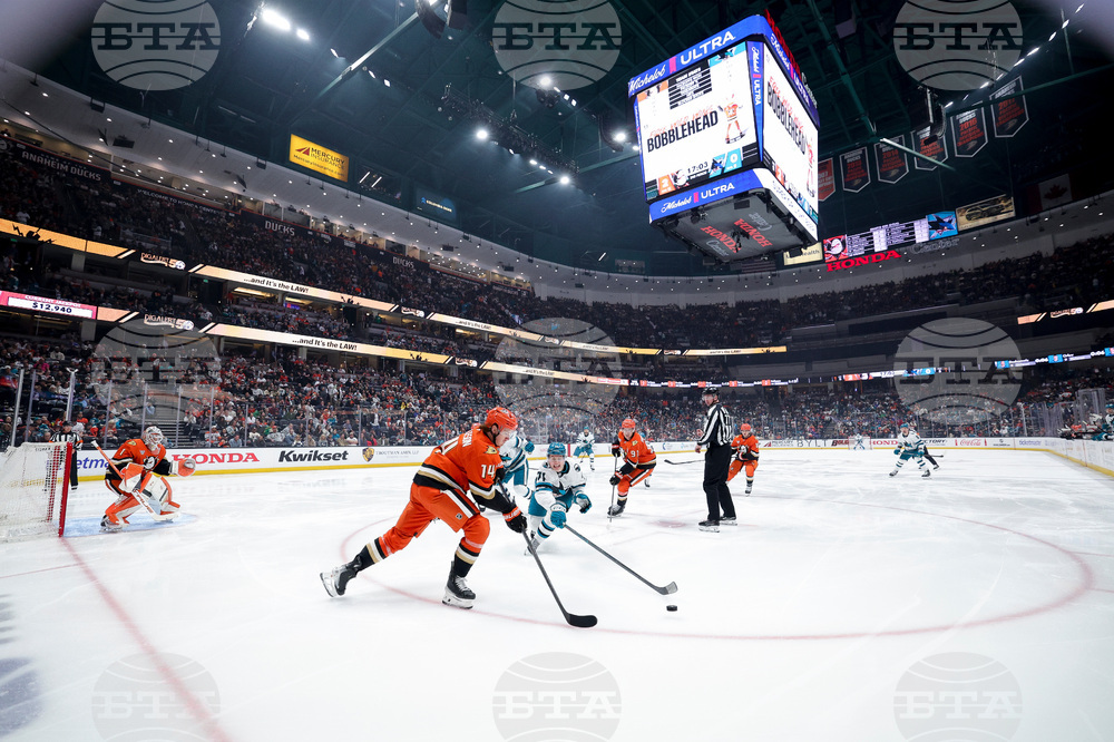 Sharks Ducks Hockey