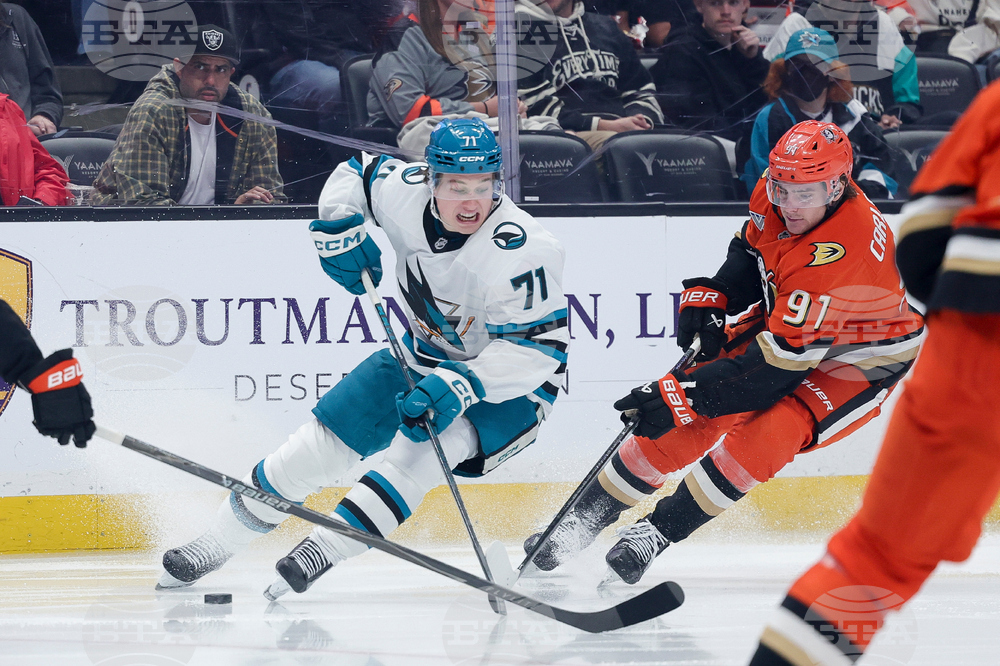 Sharks Ducks Hockey