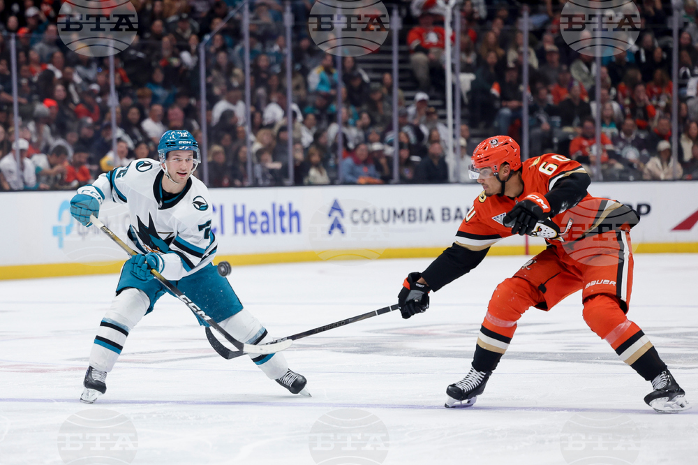 Sharks Ducks Hockey