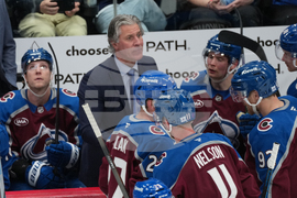 Flames Avalanche Hockey