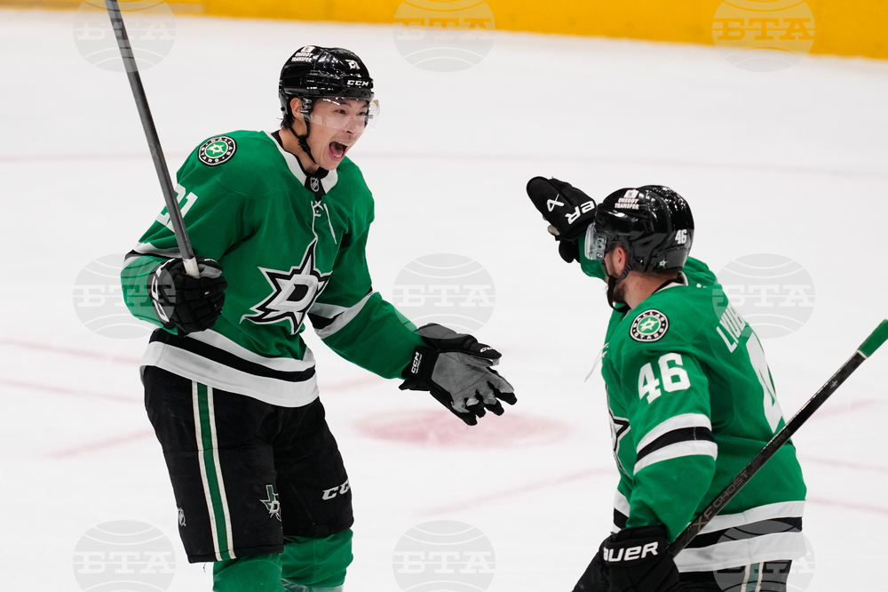 APTOPIX Wild Stars Hockey