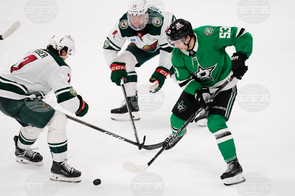Wild Stars Hockey