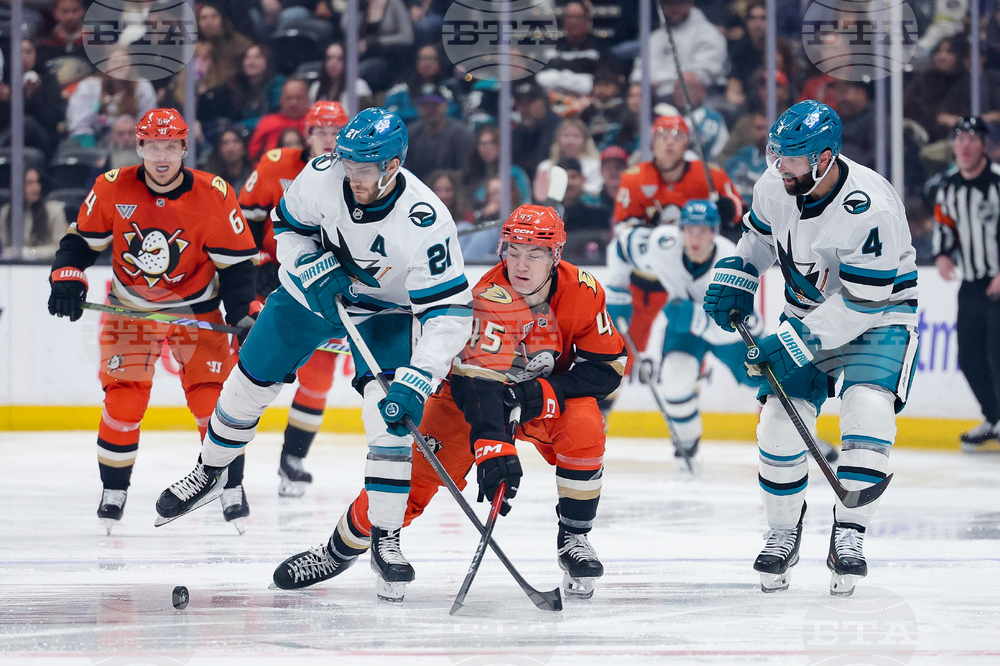 Sharks Ducks Hockey