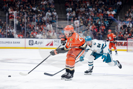 Sharks Ducks Hockey