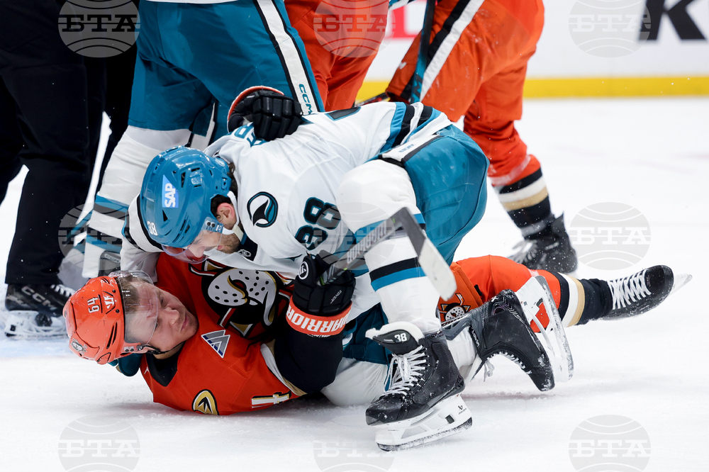 Sharks Ducks Hockey