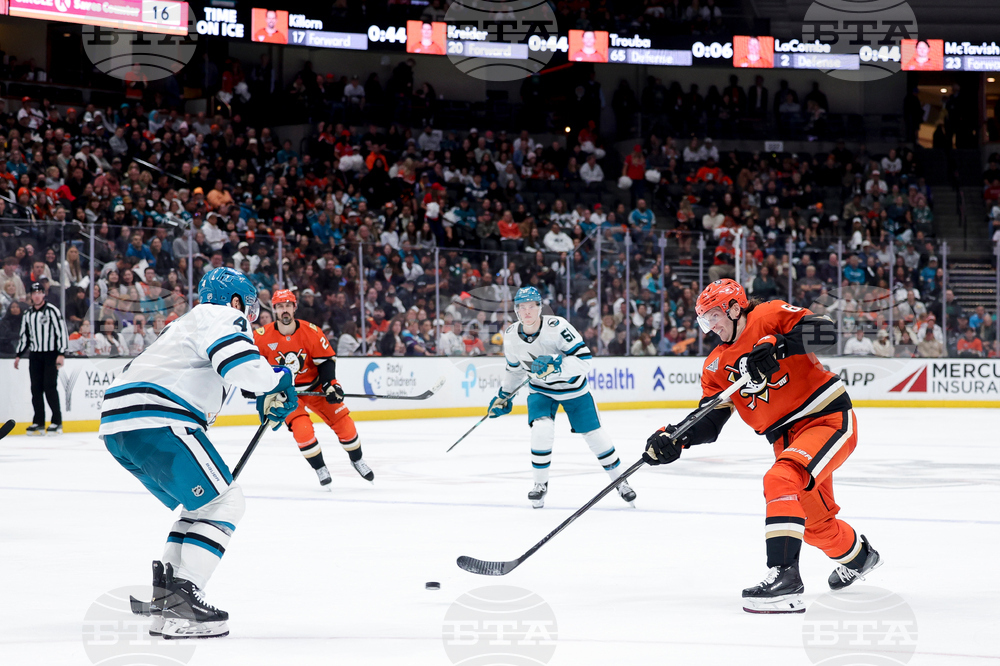Sharks Ducks Hockey
