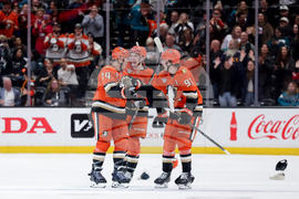 Sharks Ducks Hockey