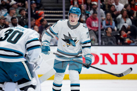 Sharks Ducks Hockey
