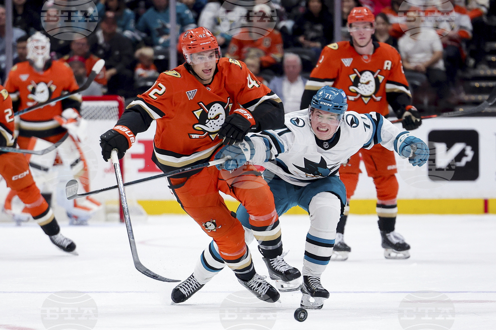 Sharks Ducks Hockey