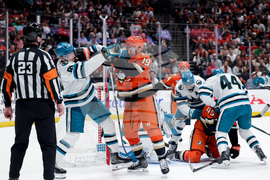 Sharks Ducks Hockey