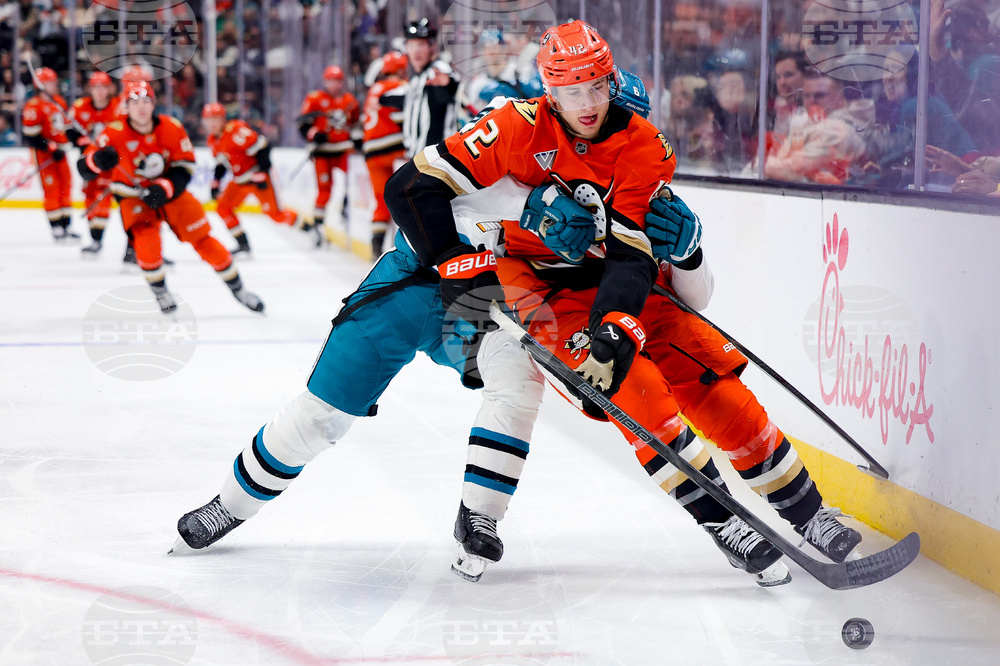 Sharks Ducks Hockey