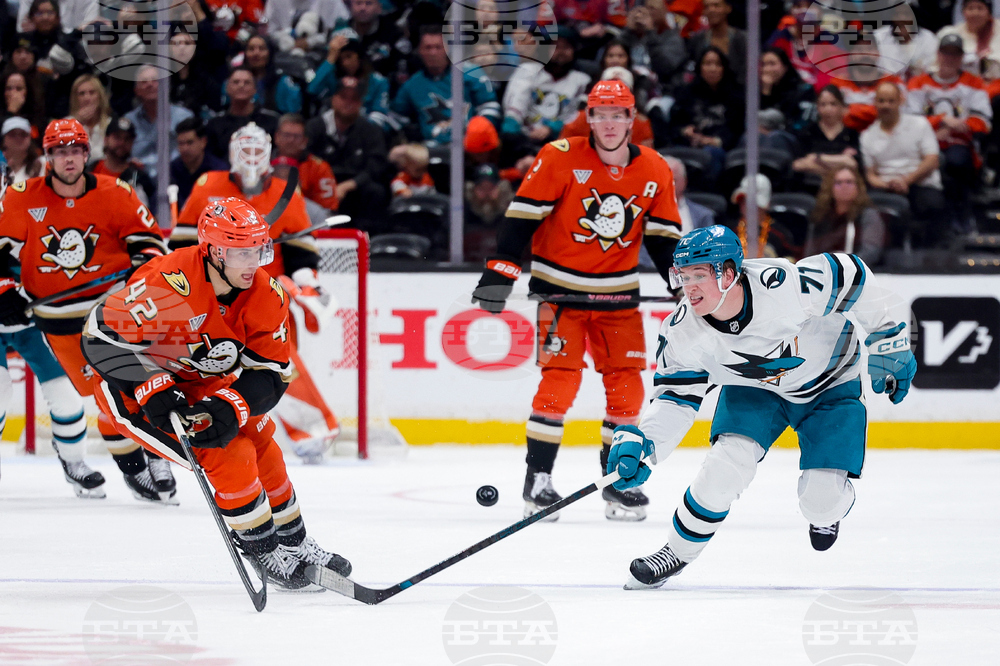 Sharks Ducks Hockey