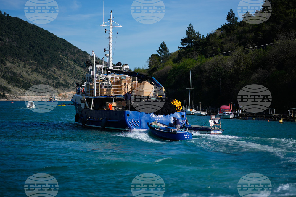 Croatia Fuel Fishermen
