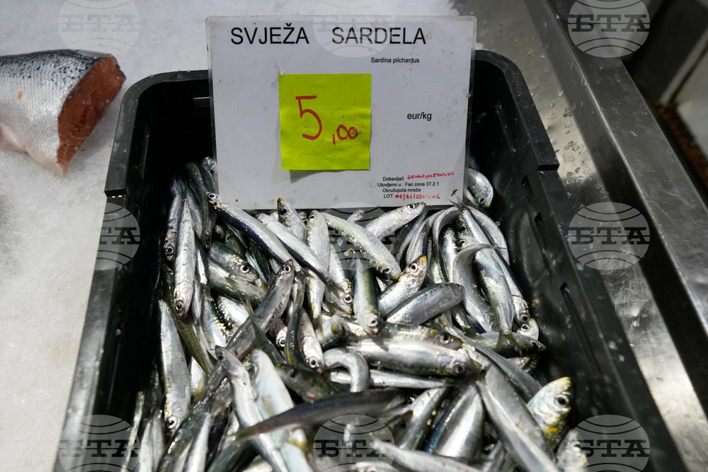 Croatia Fuel Fishermen