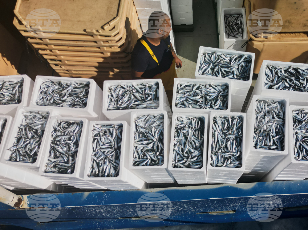 Croatia Fuel Fishermen