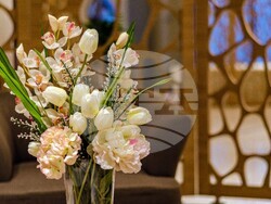 Албена - хотел Maritim Paradise Blue & Senses Wellness Center