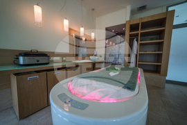 Албена - Flamingo Grand Hotel & Spa & Elements SPA