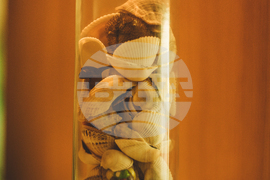 Албена - Flamingo Grand Hotel & Spa & Elements SPA