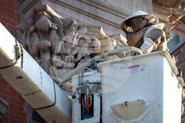 Washington Daily Life