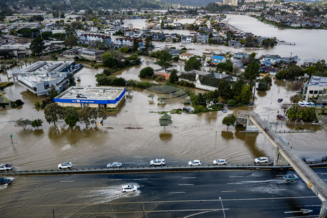 Climate Solution Rebuilding Species