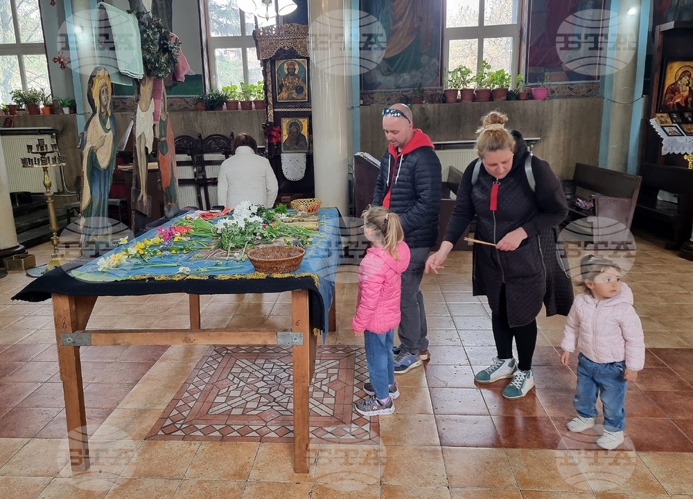 Монтана - плащеница - изнасяне