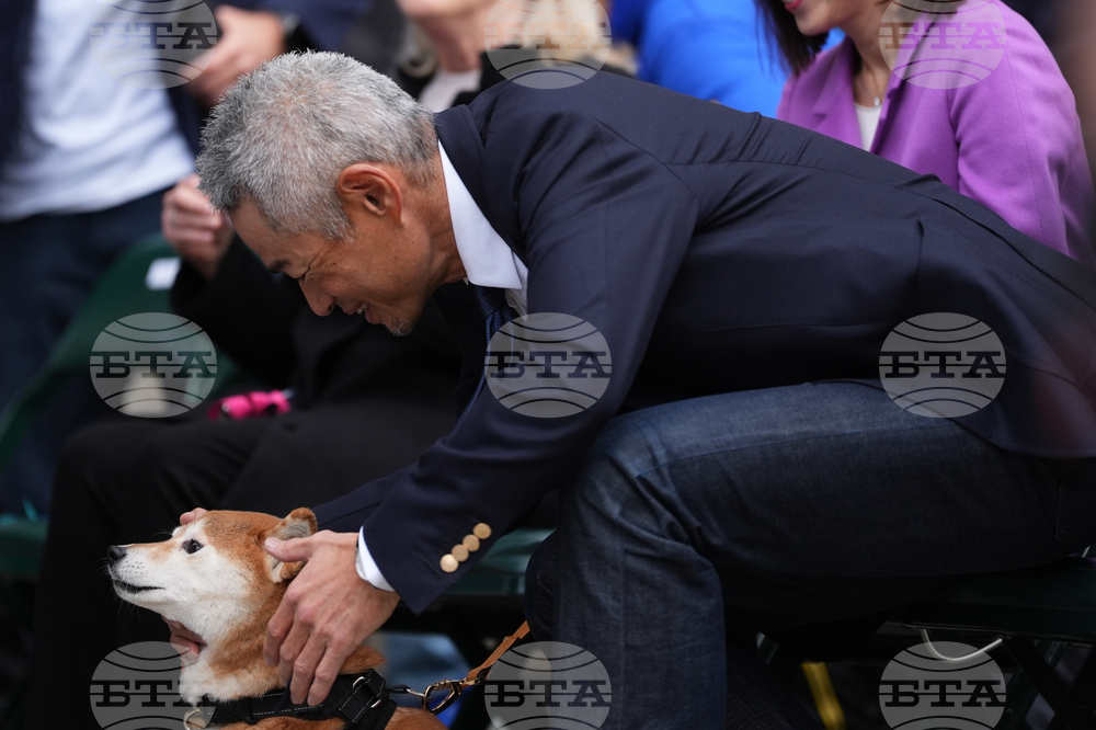 Mariners Ichiro Baseball