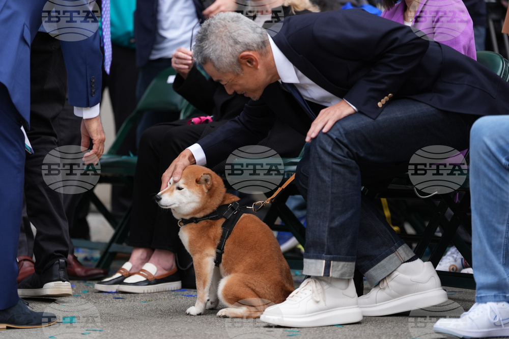 Mariners Ichiro Baseball