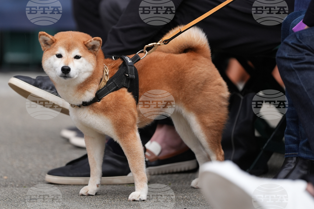 Mariners Ichiro Baseball