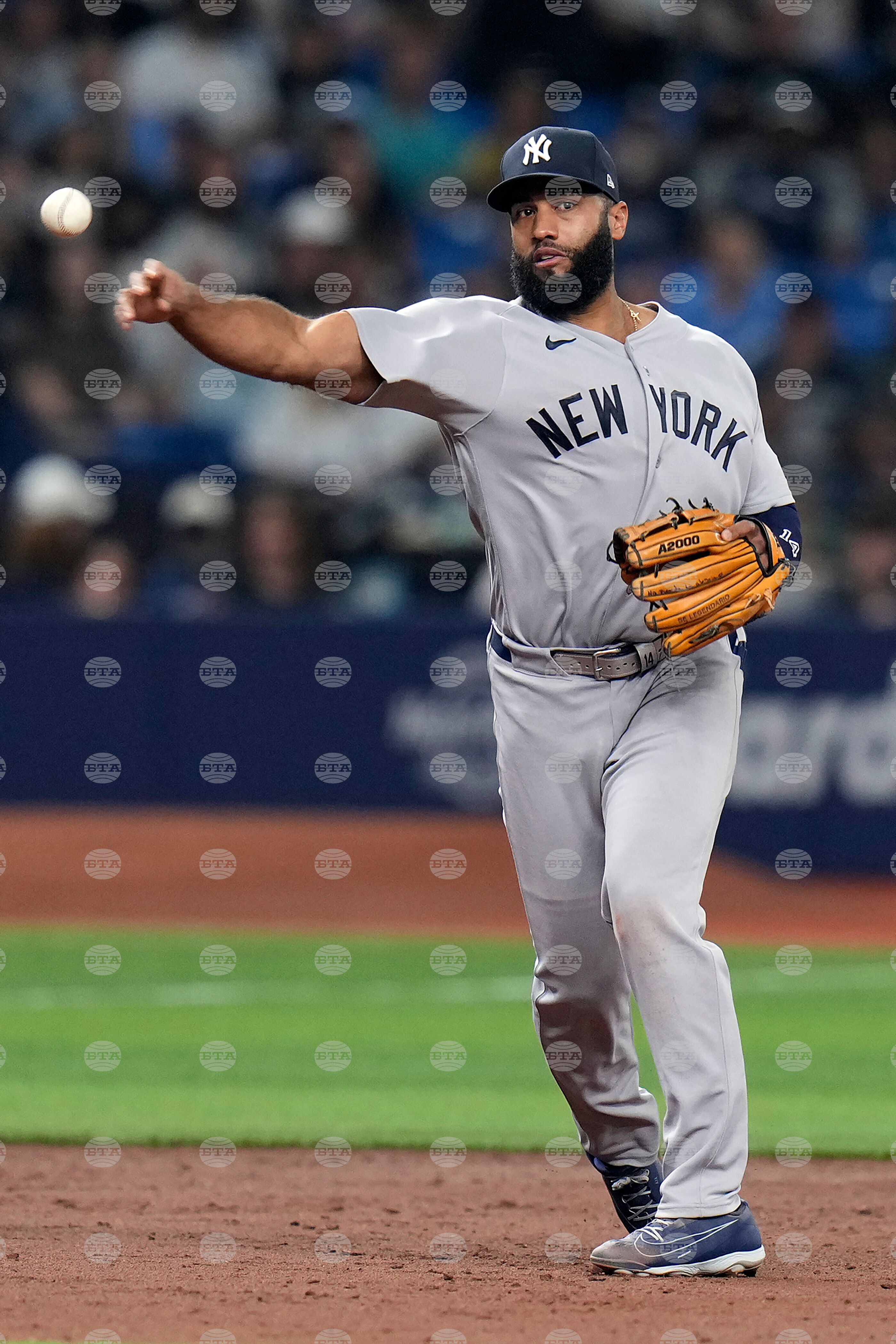 Yankees Rays Baseball