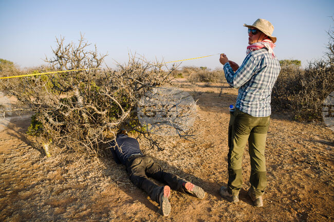 Climate Ethiopia Myrrh