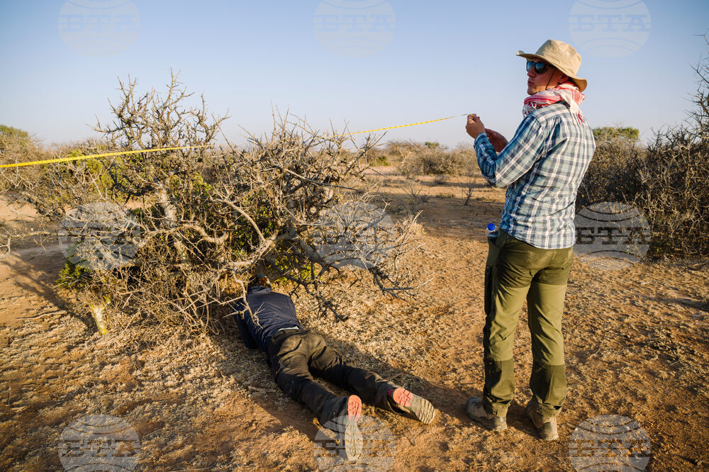 Climate Ethiopia Myrrh