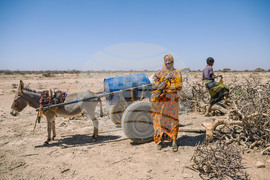 Climate Ethiopia Myrrh
