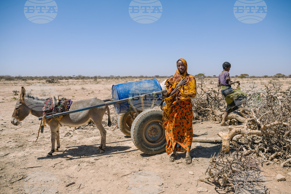 Climate Ethiopia Myrrh