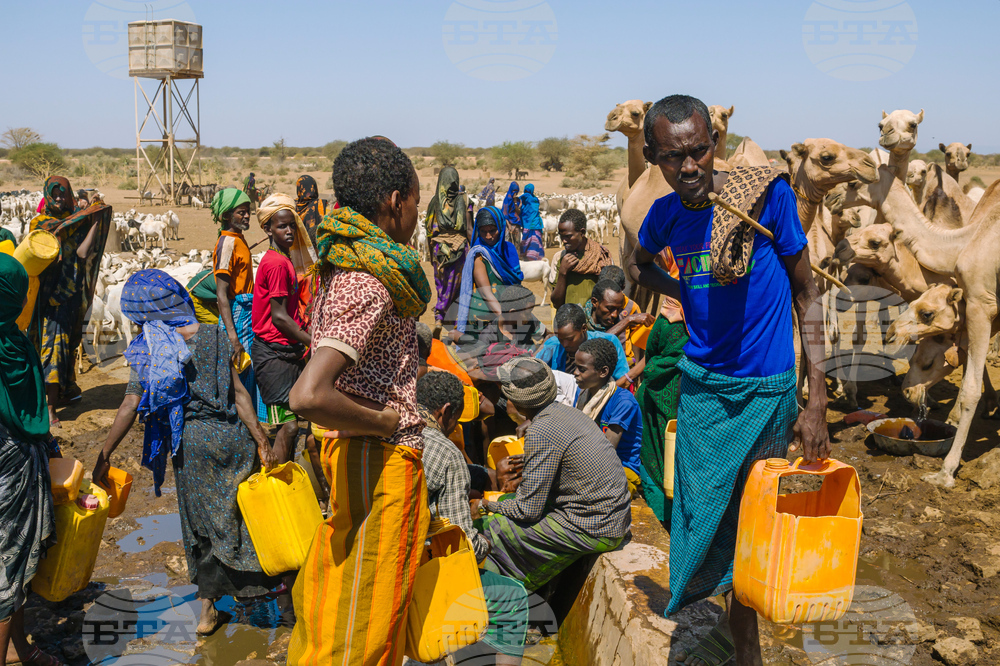 Climate Ethiopia Myrrh