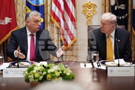 Trump Foreign Elections