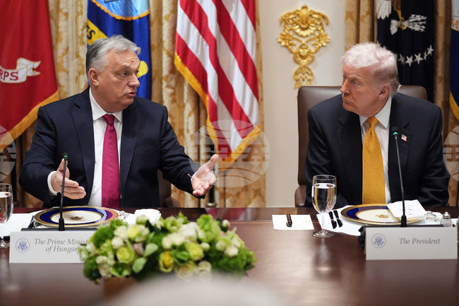 Trump Foreign Elections