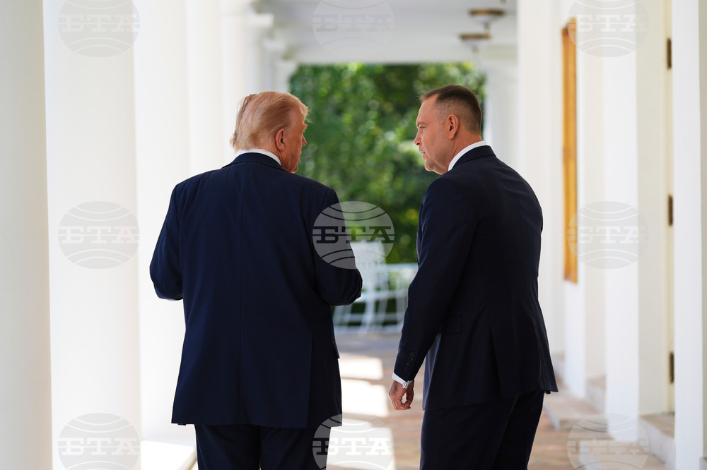 Trump Foreign Elections