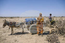 APTOPIX Climate Ethiopia Myrrh