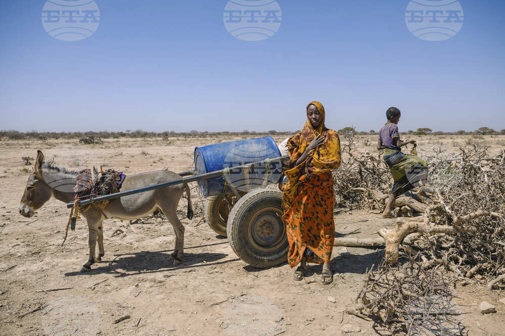 APTOPIX Climate Ethiopia Myrrh