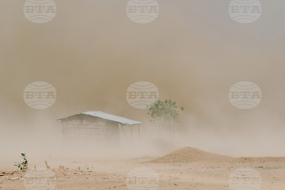 APTOPIX Climate Ethiopia Myrrh