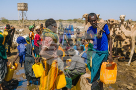 Climate Ethiopia Myrrh