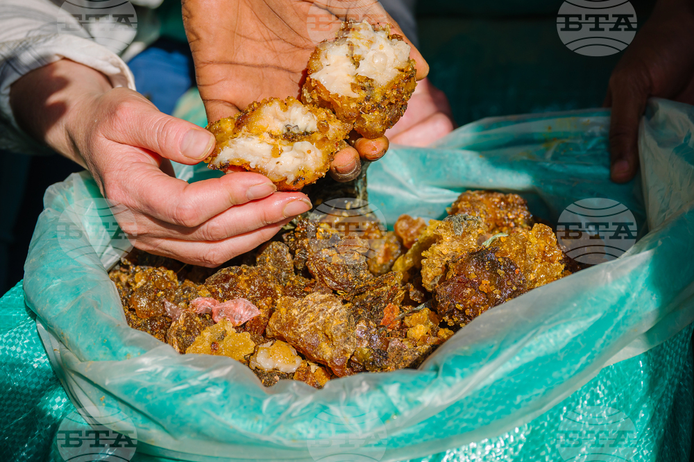 Climate Ethiopia Myrrh