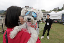 Taiwan Pet Day