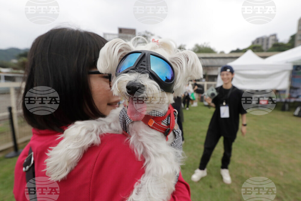 Taiwan Pet Day