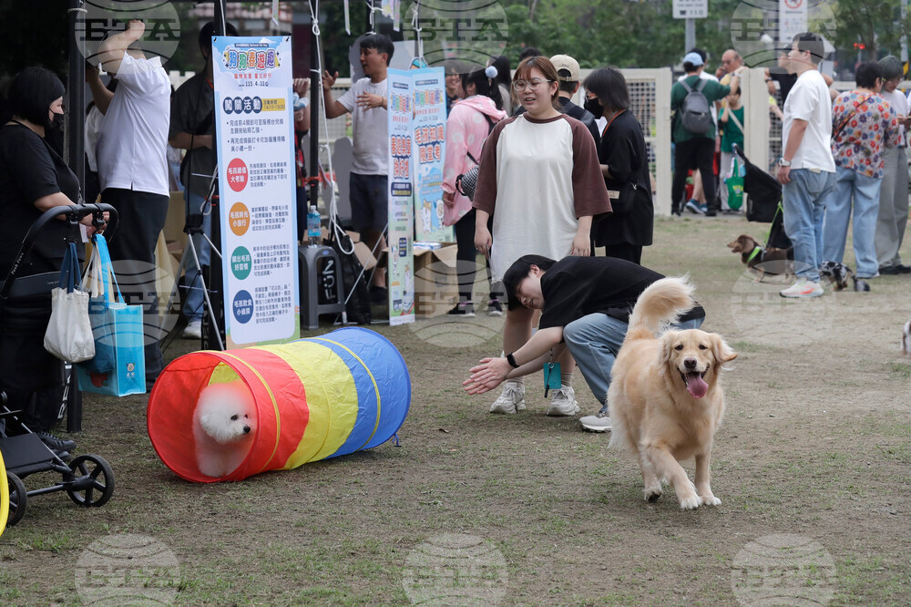 Taiwan Pet Day