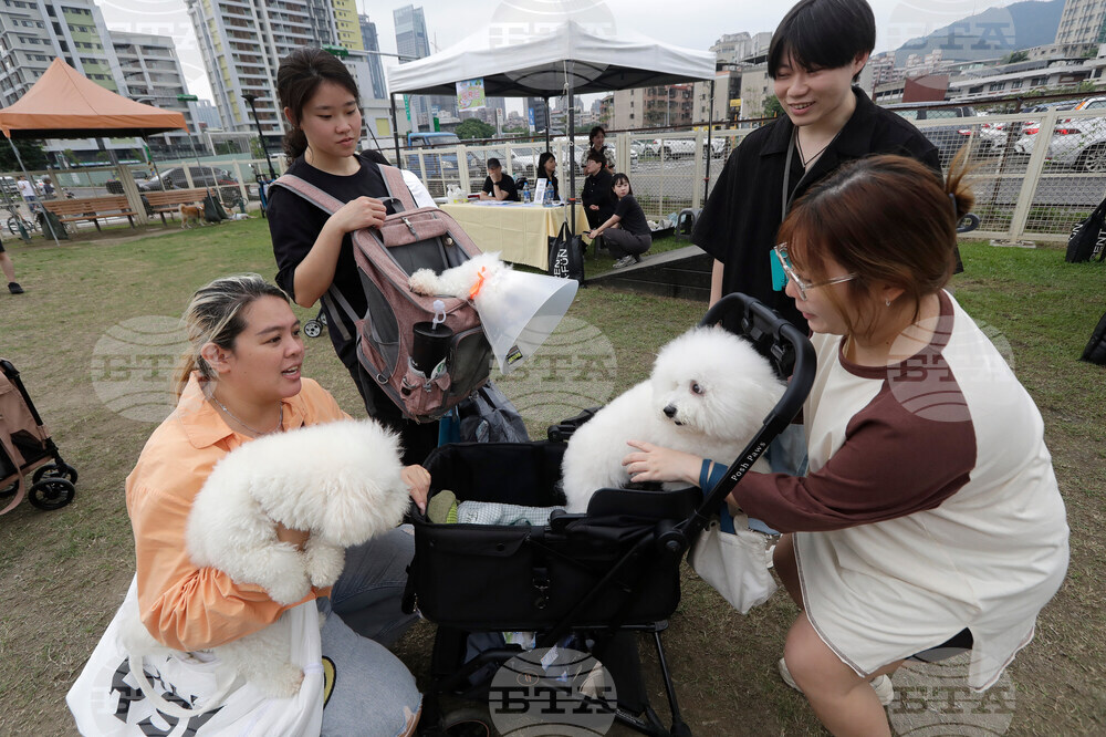 Taiwan Pet Day