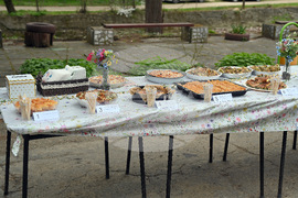 Село Котеновци - баница - фестивал