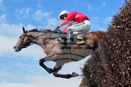 APTOPIX Britain Grand National Horse Racing