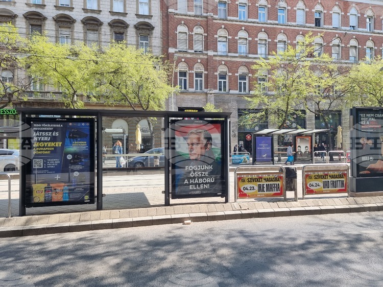 Hungarians Head to the Polls in Key Parliamentary Elections