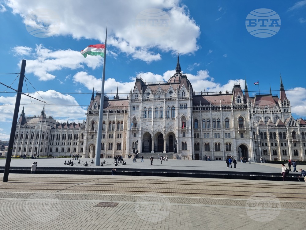 Bulgarian Politicians React to Hungary Election Results